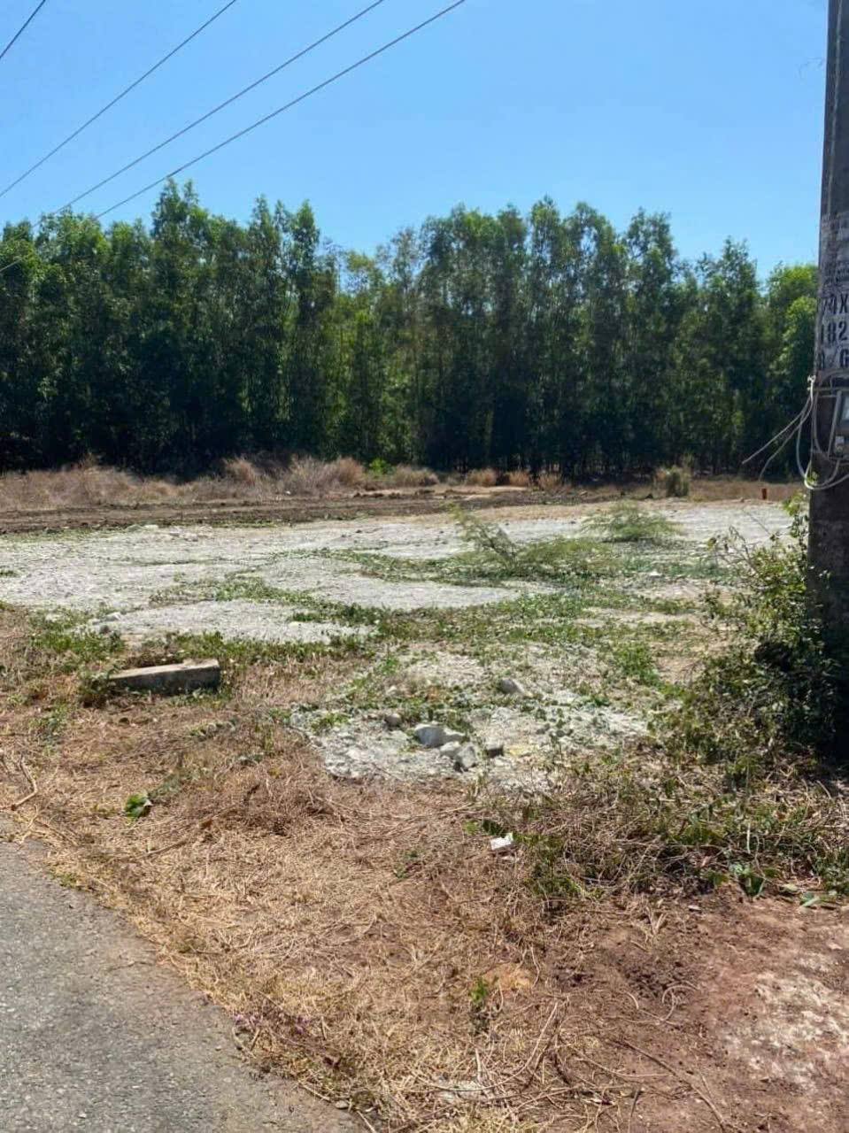 z5769167823666_05d731ab1bb1fdbd47181c325d30aef4