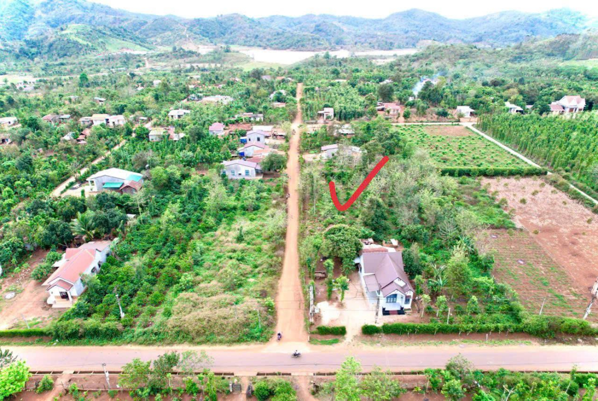 z5770339546981_e7875cca59c507ee5fa22275b002bbb1