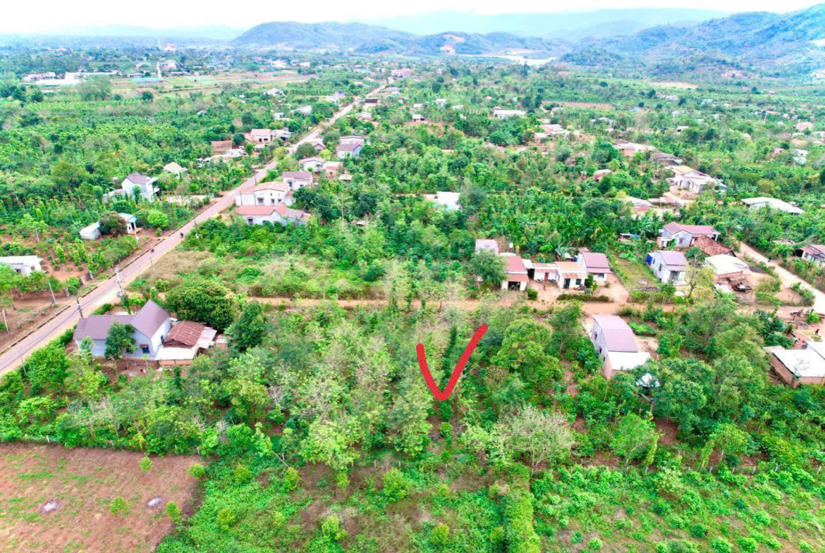 z5770339554898_029e88daa2901dbb4b64f6ea0db04336