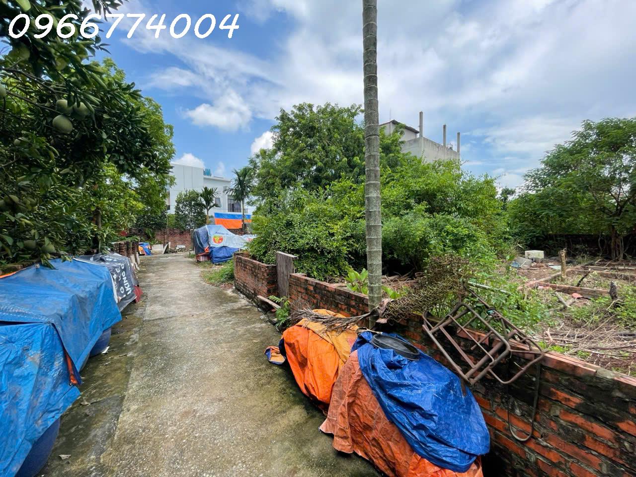 z5770934094757_15ad9c1a53cceed5049708a3c8ba4523