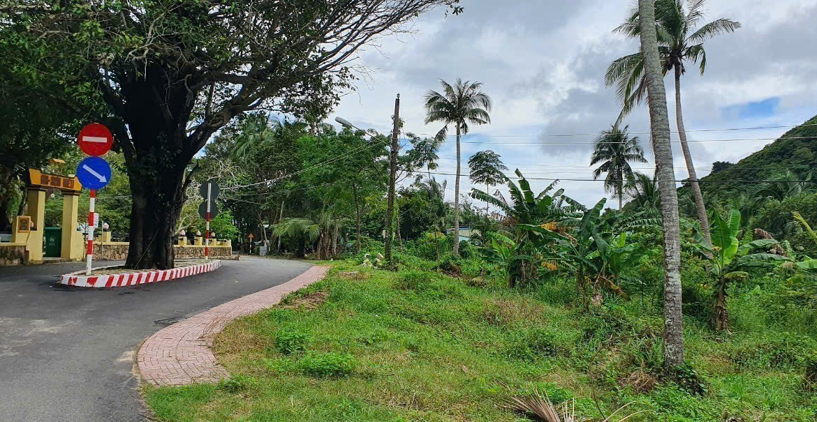 z5771117643074_7b6dc523feb86c7974ff04591be74a55