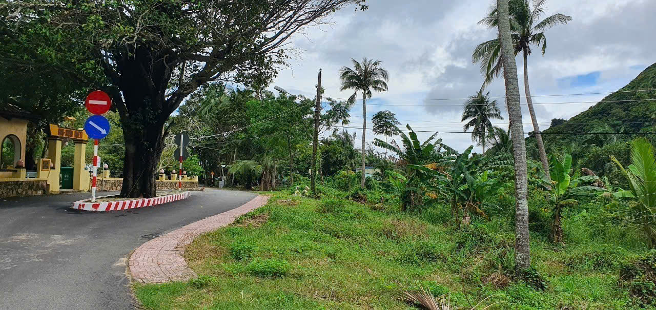 z5771117643074_7b6dc523feb86c7974ff04591be74a55