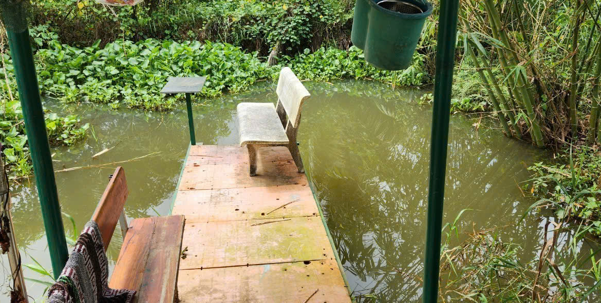 z5771117662218_181344a87f49fd10732bc208c030df87