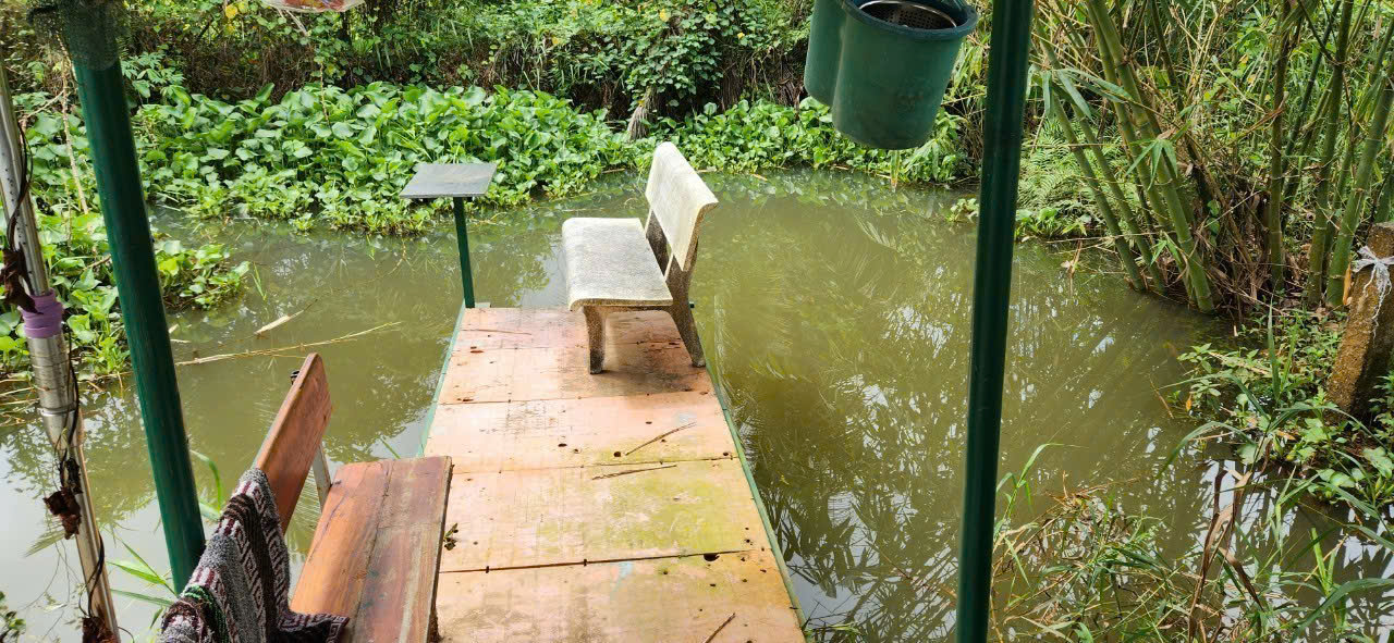 z5771117662218_181344a87f49fd10732bc208c030df87