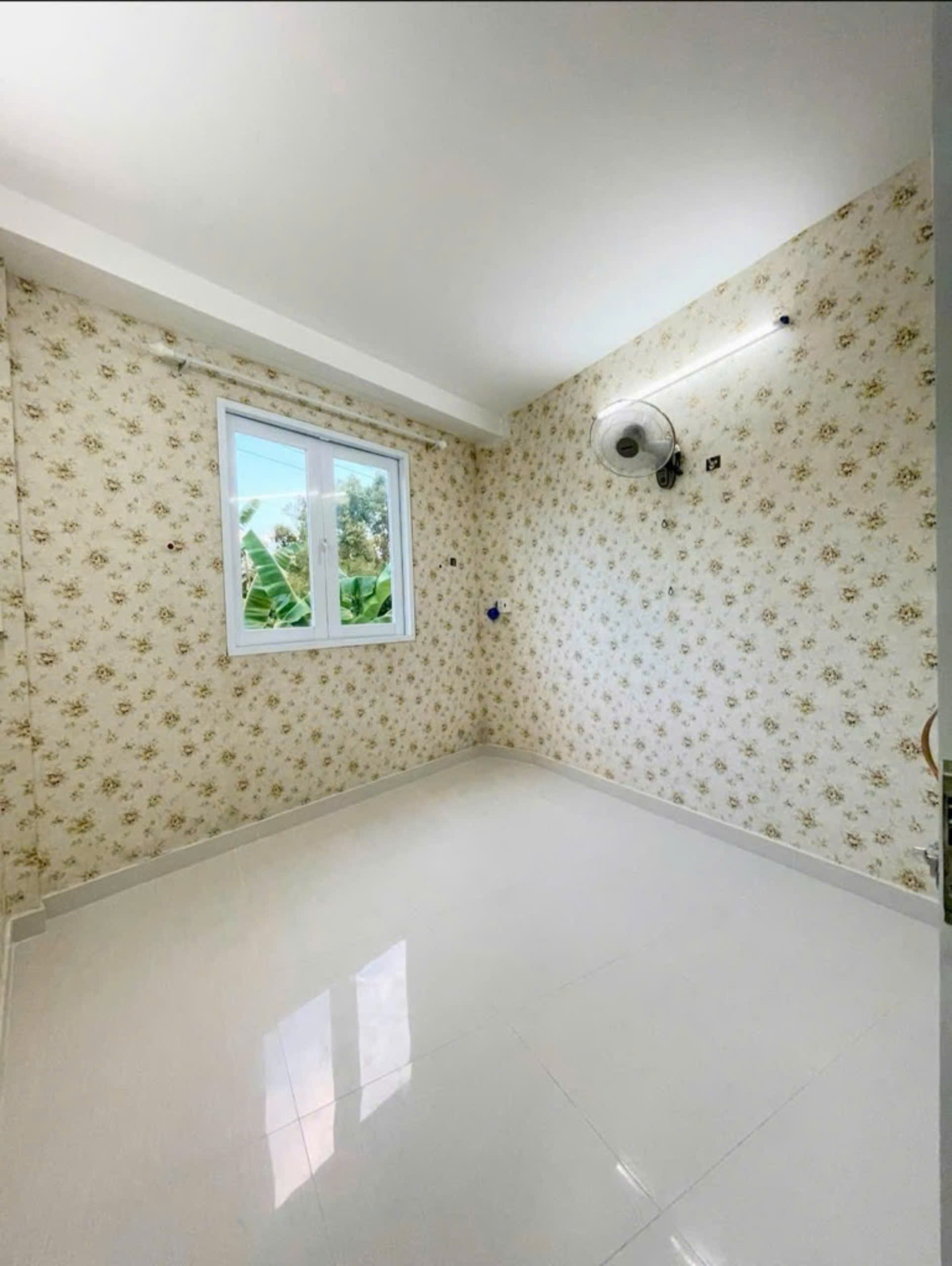 z5773486827597_ac00a73a85eec04ea0156e351806fac2