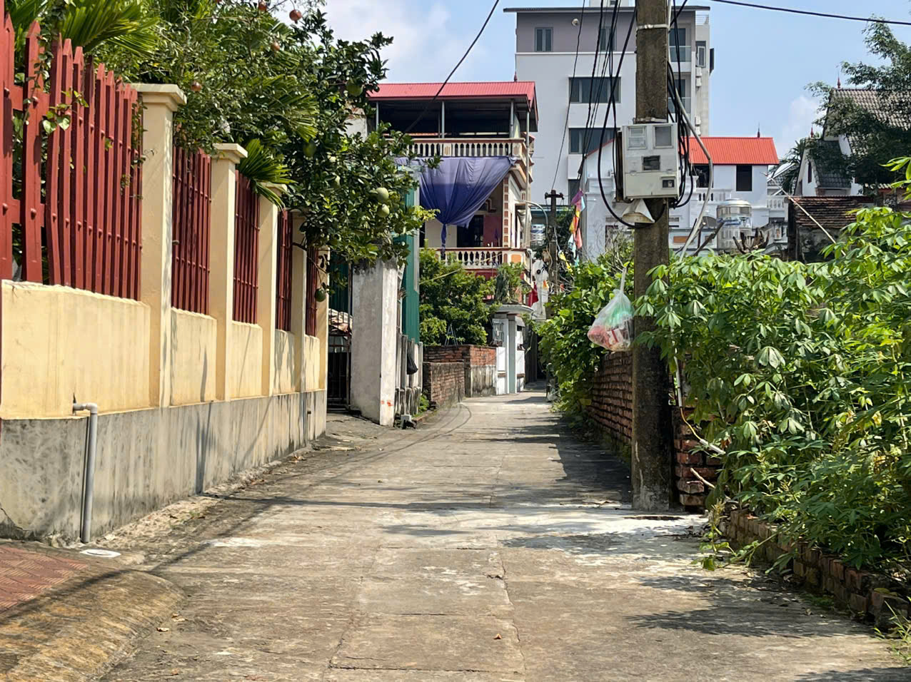 z5774188388477_59dd31729493574cc809ff65c9962dc4