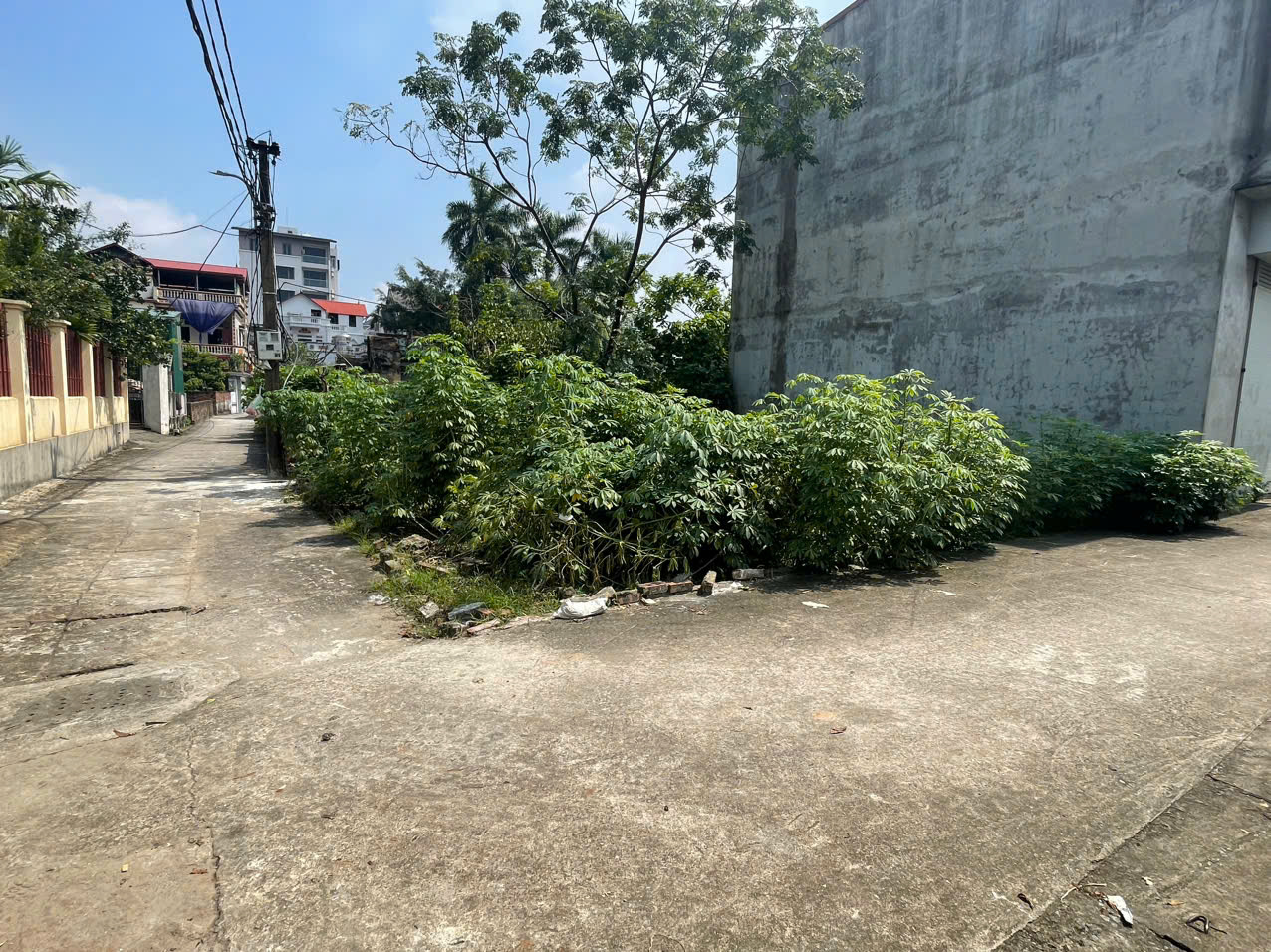 z5774188394933_75a35b96b9427e336de1b5cb8f651746