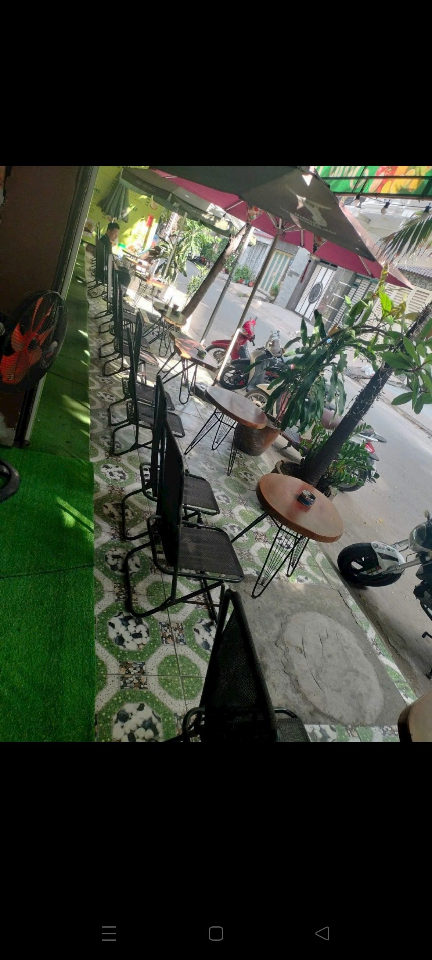 z5774493196291_4627a48567c987d4b137b7c4b71f67af