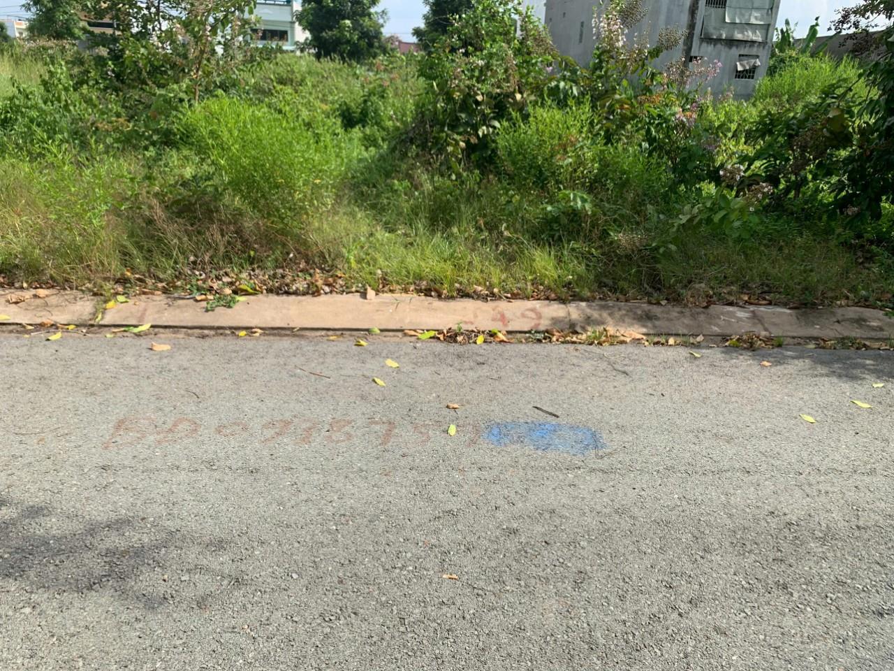 z5778875585020_6517cb1b6fa292976ff2ddb9bf33ef5e