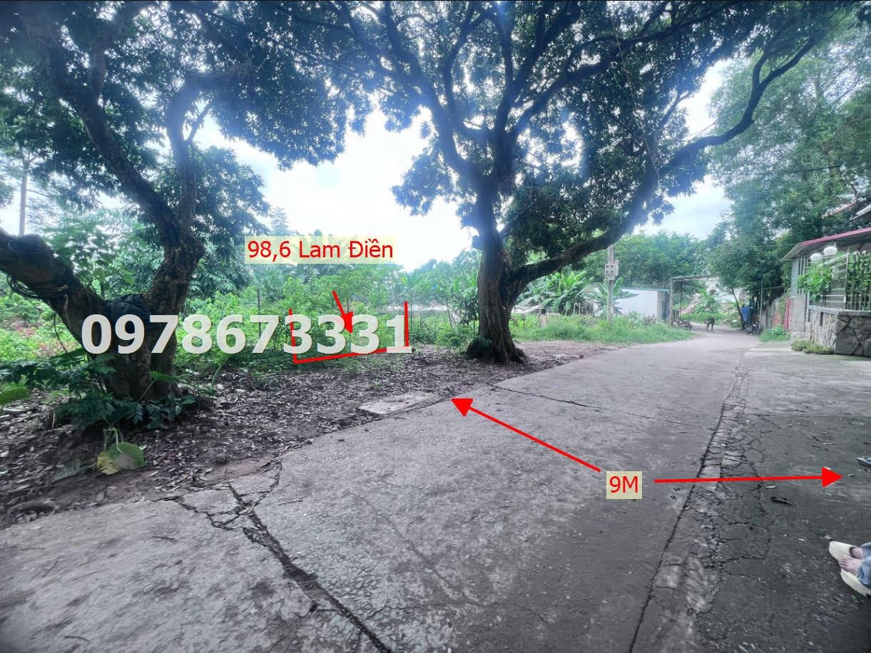 z5779746685148_df40dbc8822246feb053c37ed2a940e5