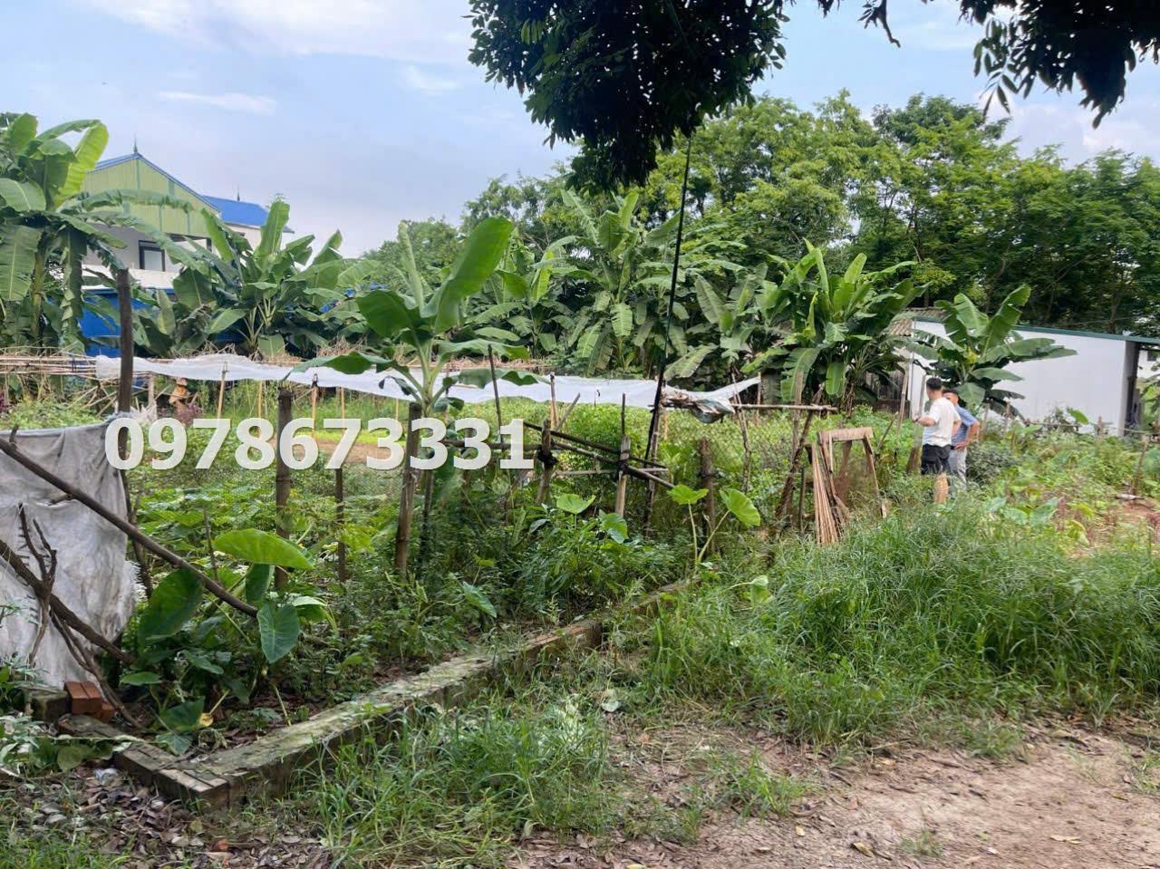 z5779747436247_d4df63b939da7b109bfaccfa5b84592c