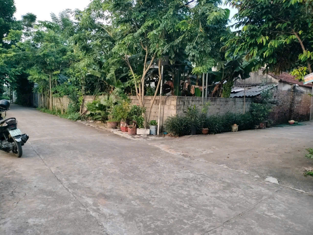 z5780775554885_b31065633c88586dd0b411ae7a0b9983