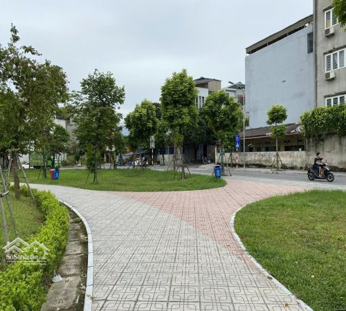 z5782334823317_0e73424d4cfe08946121e44b0a056812