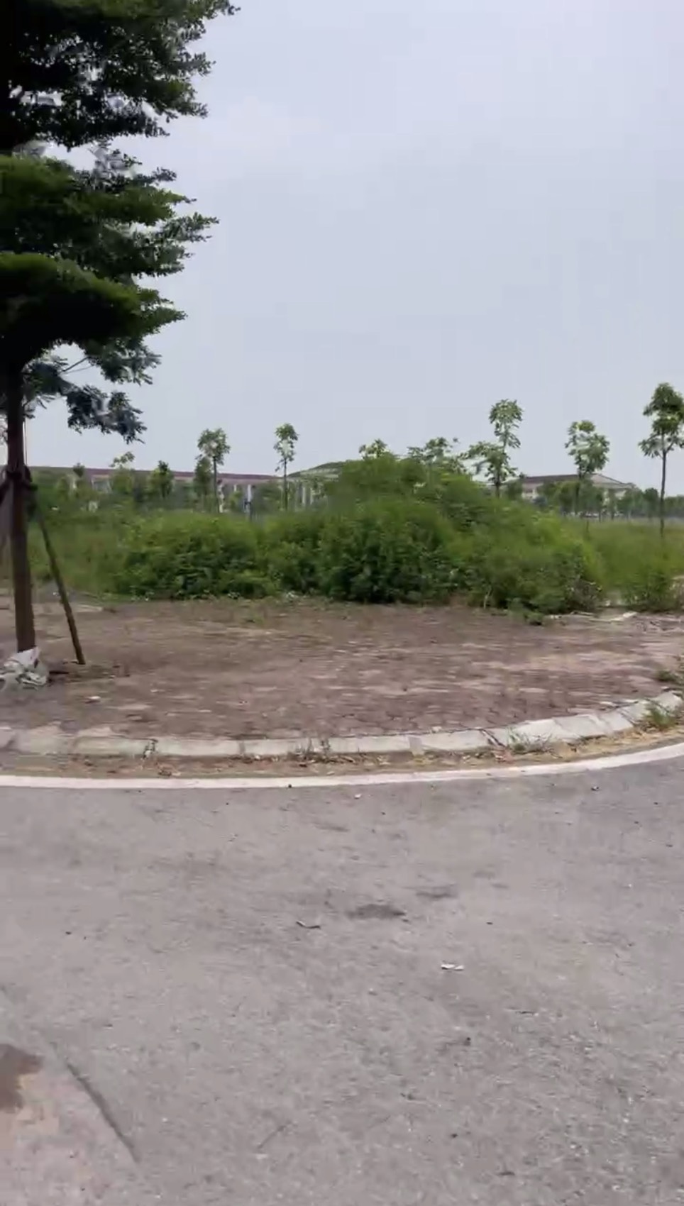 z5783721987901_7484be9fdafd477d1c005bf785f525ae