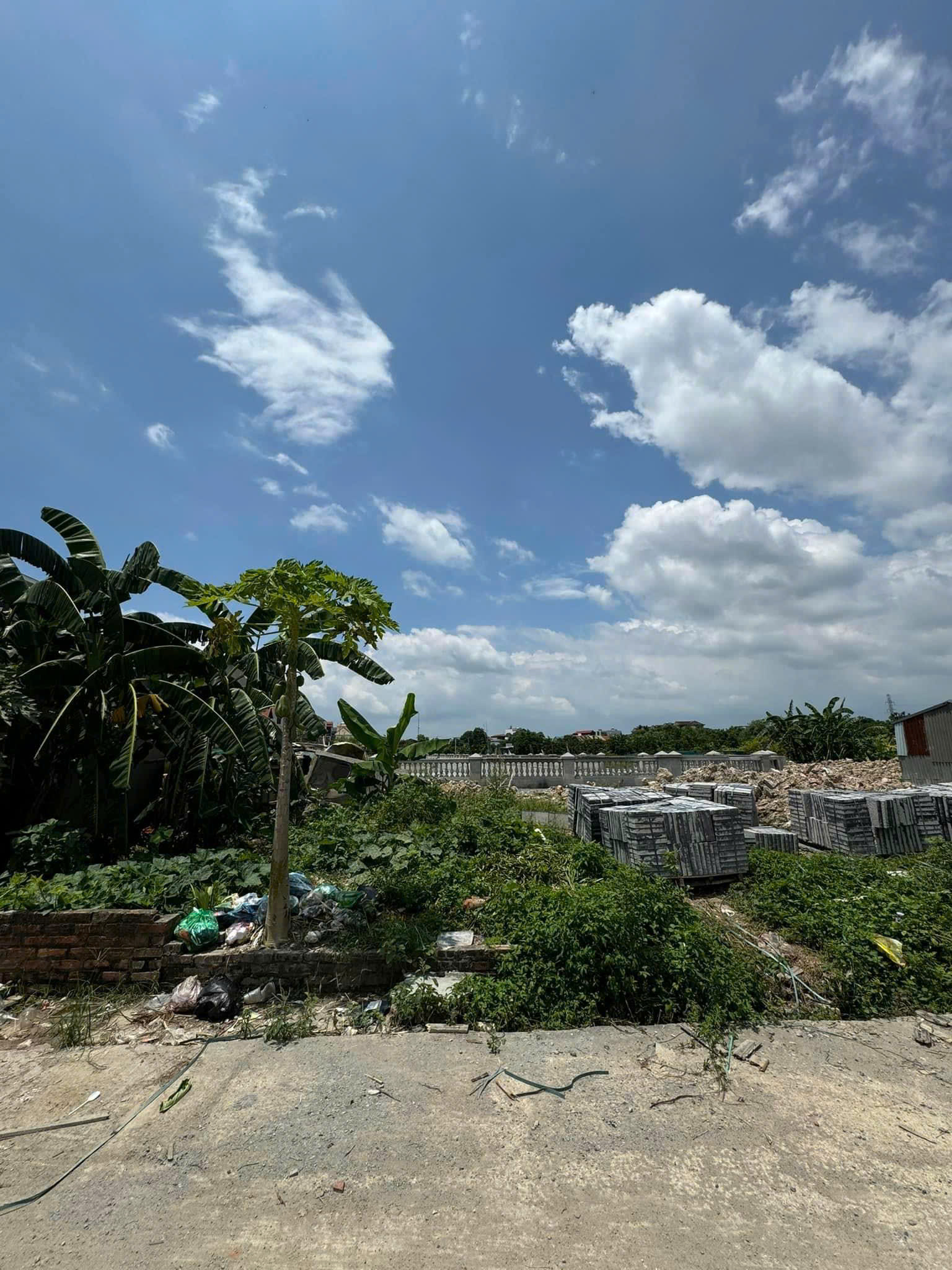 z5783724379373_f10e1db4c595a57c43e51ac19151f3ee