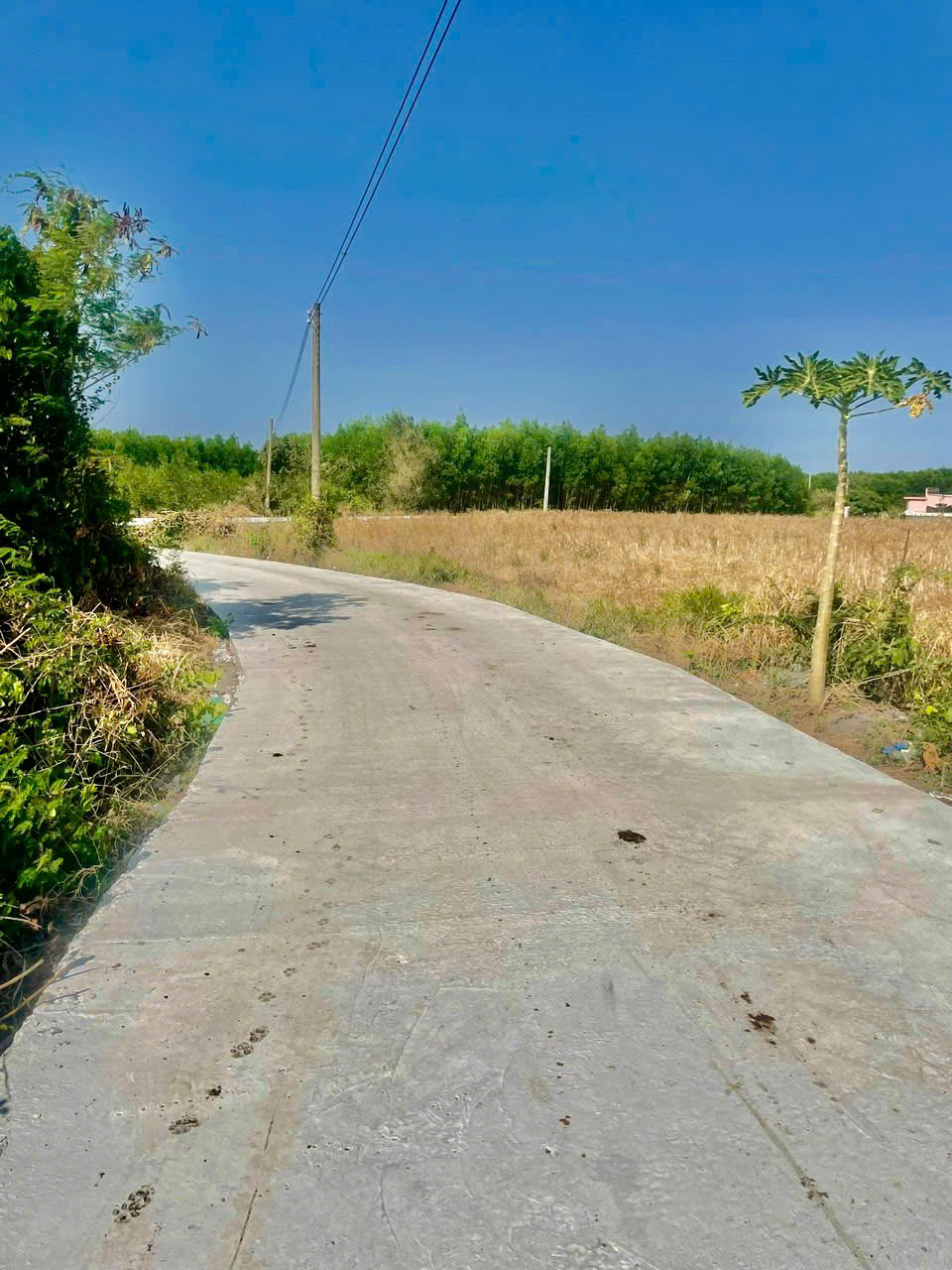 z5783994940869_498fa89642847b0202f1e9354e2a8507