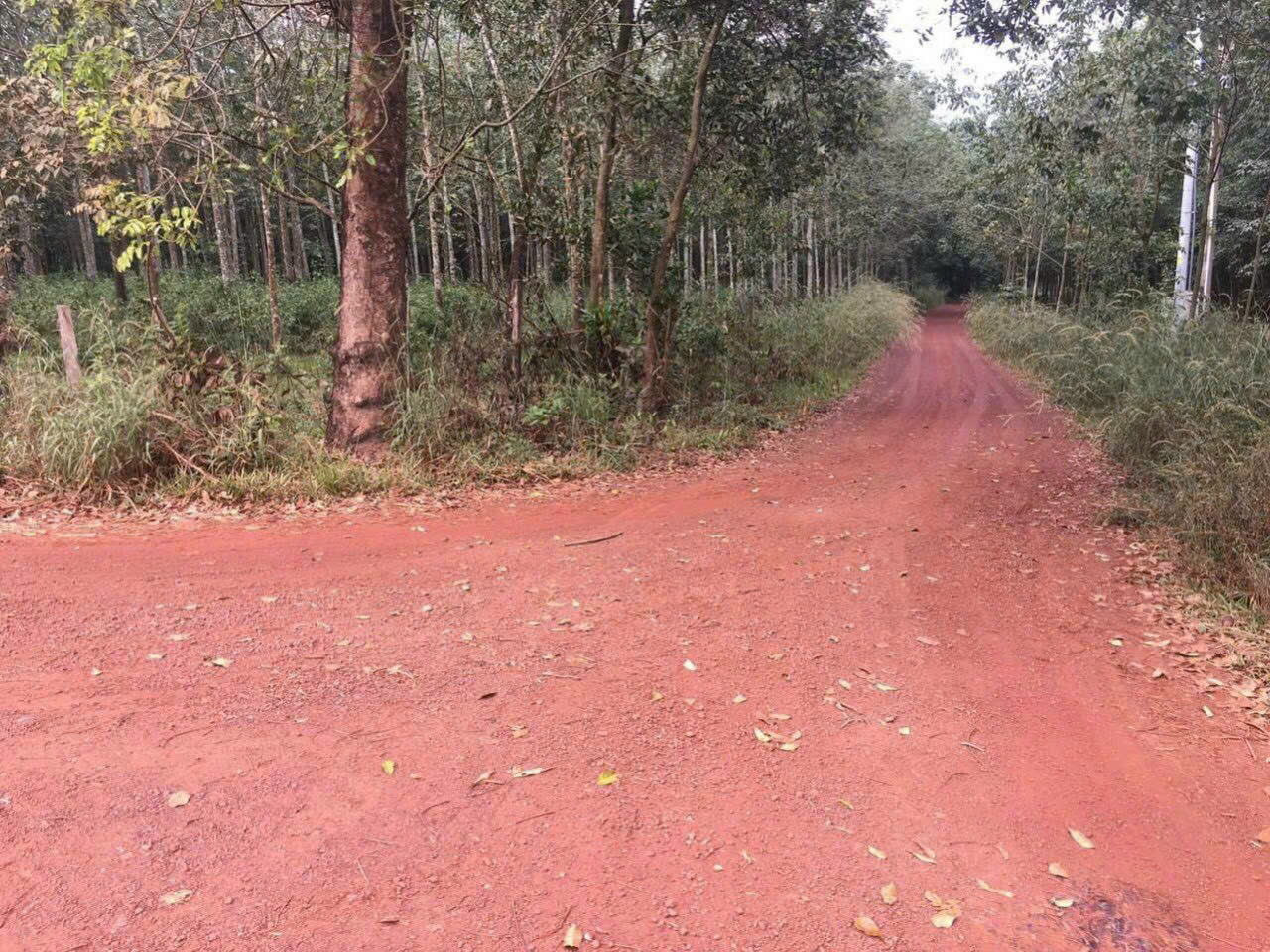 z5784502826628_34e03b31769f1fc9d16e2ef9c38f32ba