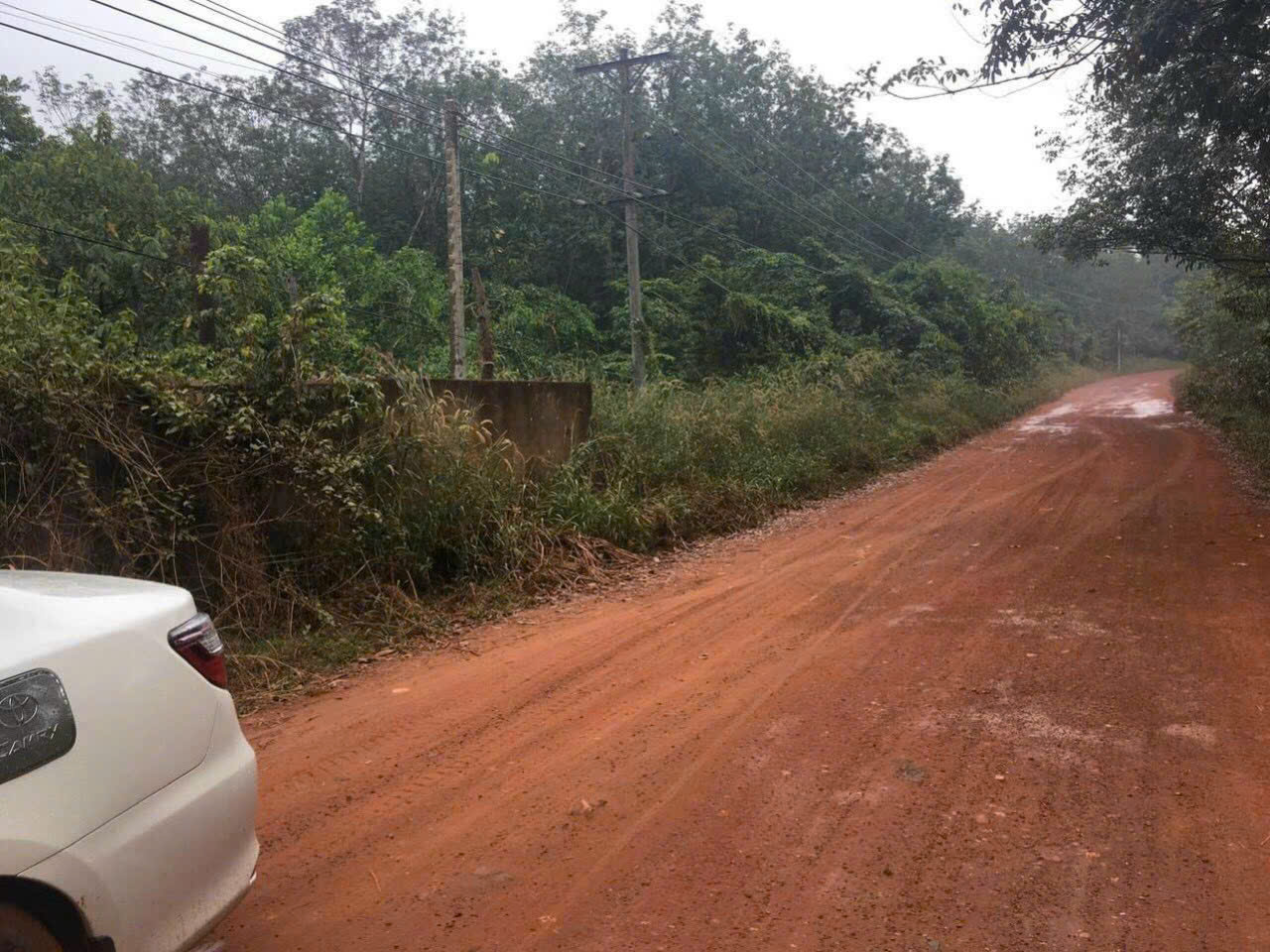 z5784502841473_780a76531f107d3bed14a8943c644ddb