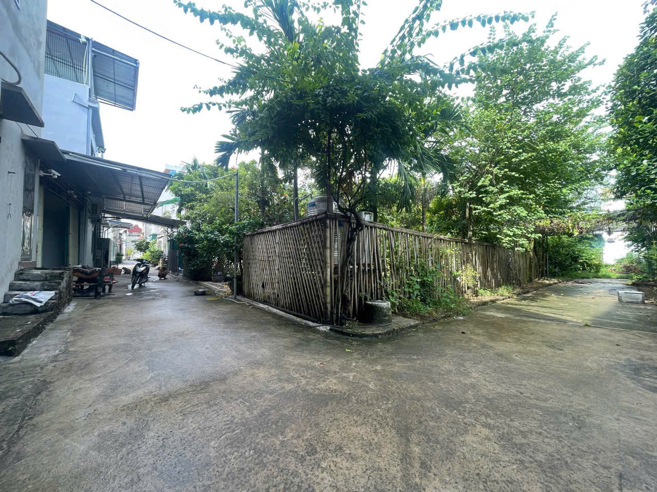 z5785079316501_d487a60c510875eefed6e94e58368e8e