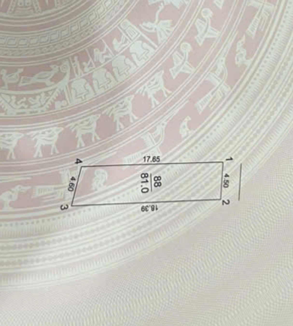 z5785464833962_dbfc34fdb32ffd59a3ba0a847a02404d