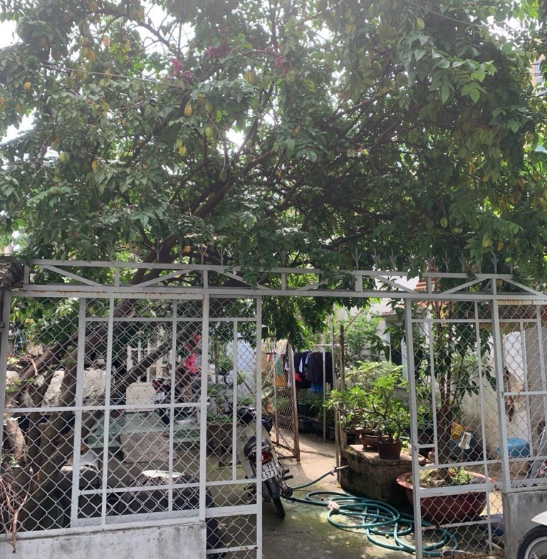 14b5-530A46C9-lz6u77i7_11_lz6u77r8