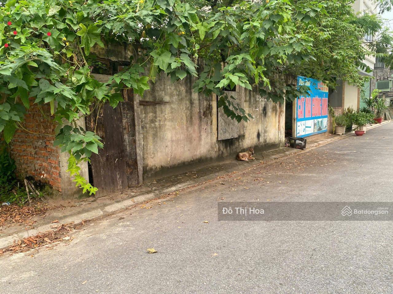 20240902155051-aeb8_wm