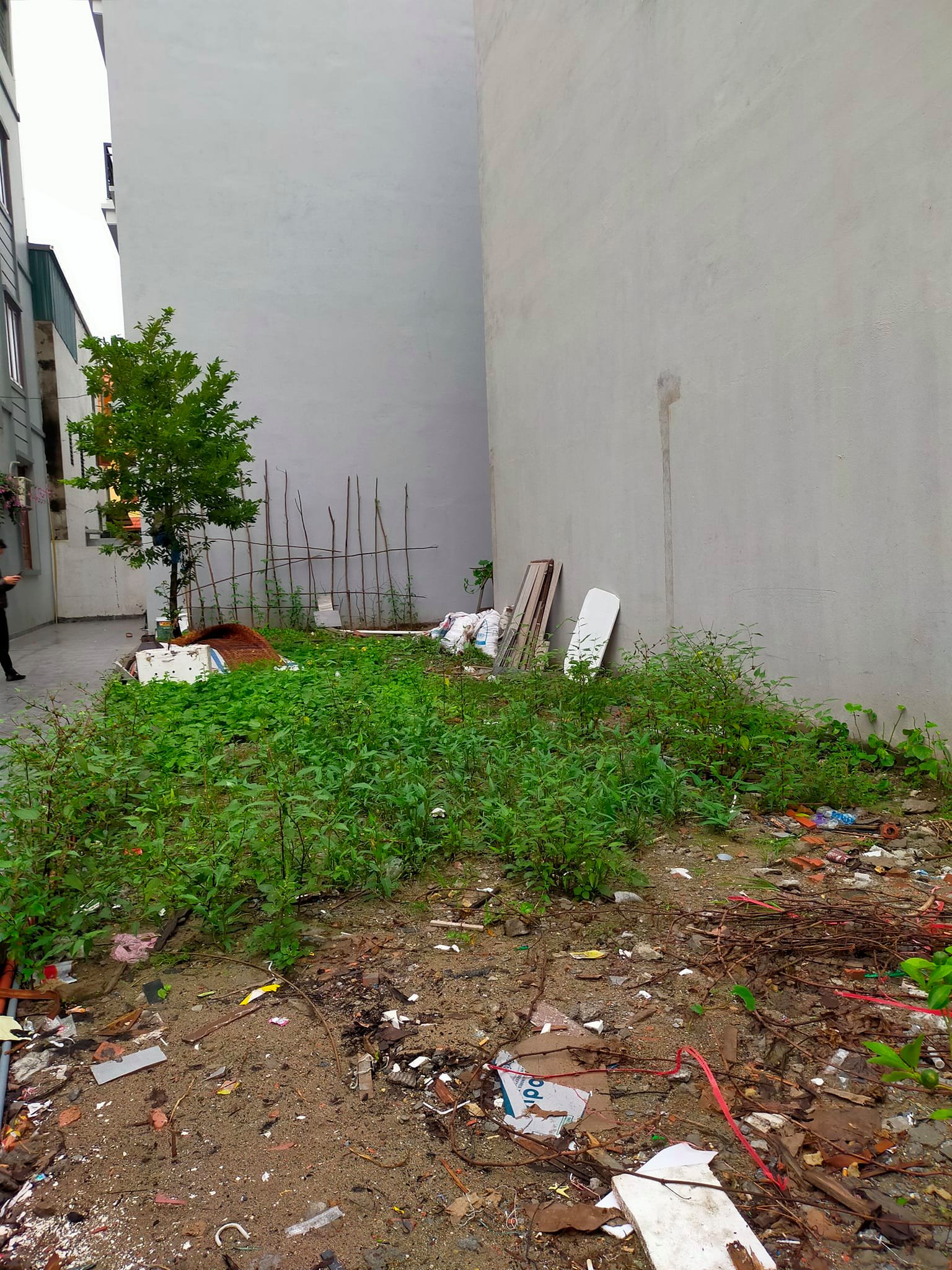 248341565_2016309761864228_5960999739336294452_n