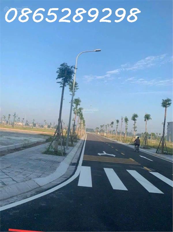 2dac499639fd946a182a5ce1a1ac8401