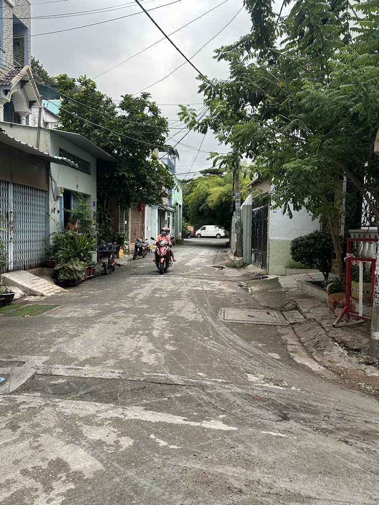 2hfk-A686AD98-m10jdowm_164_16