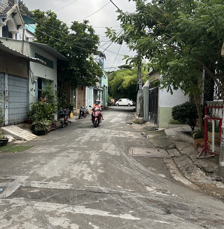 2hfk-A686AD98-m10jdowm_164_16