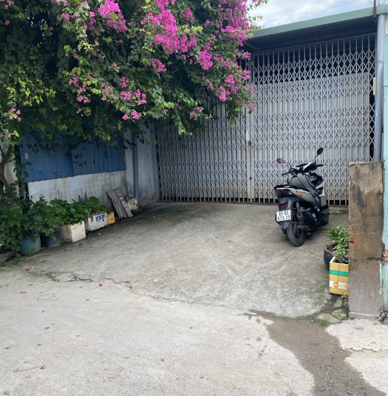 2ztj-AFECAEDA-m0tcnp1u_55_12