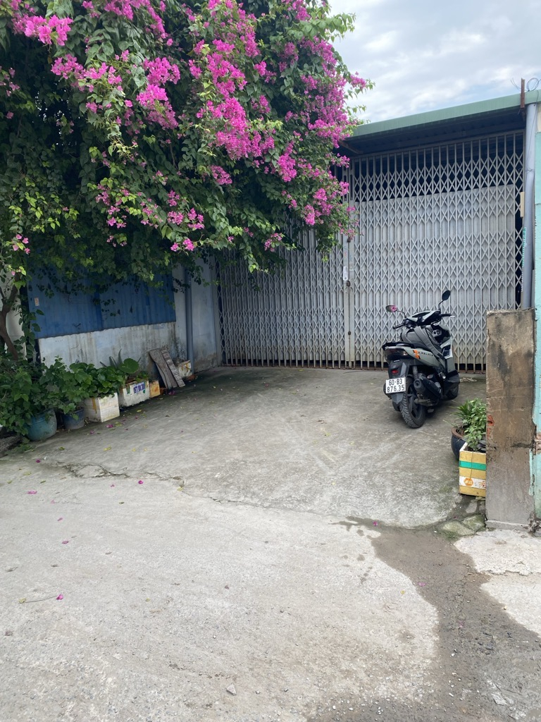 2ztj-AFECAEDA-m0tcnp1u_55_12