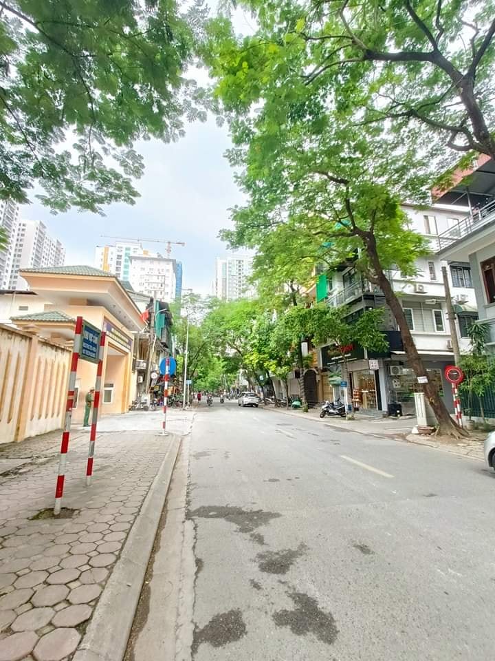 329158795_505217641766146_2209504939949609209_n