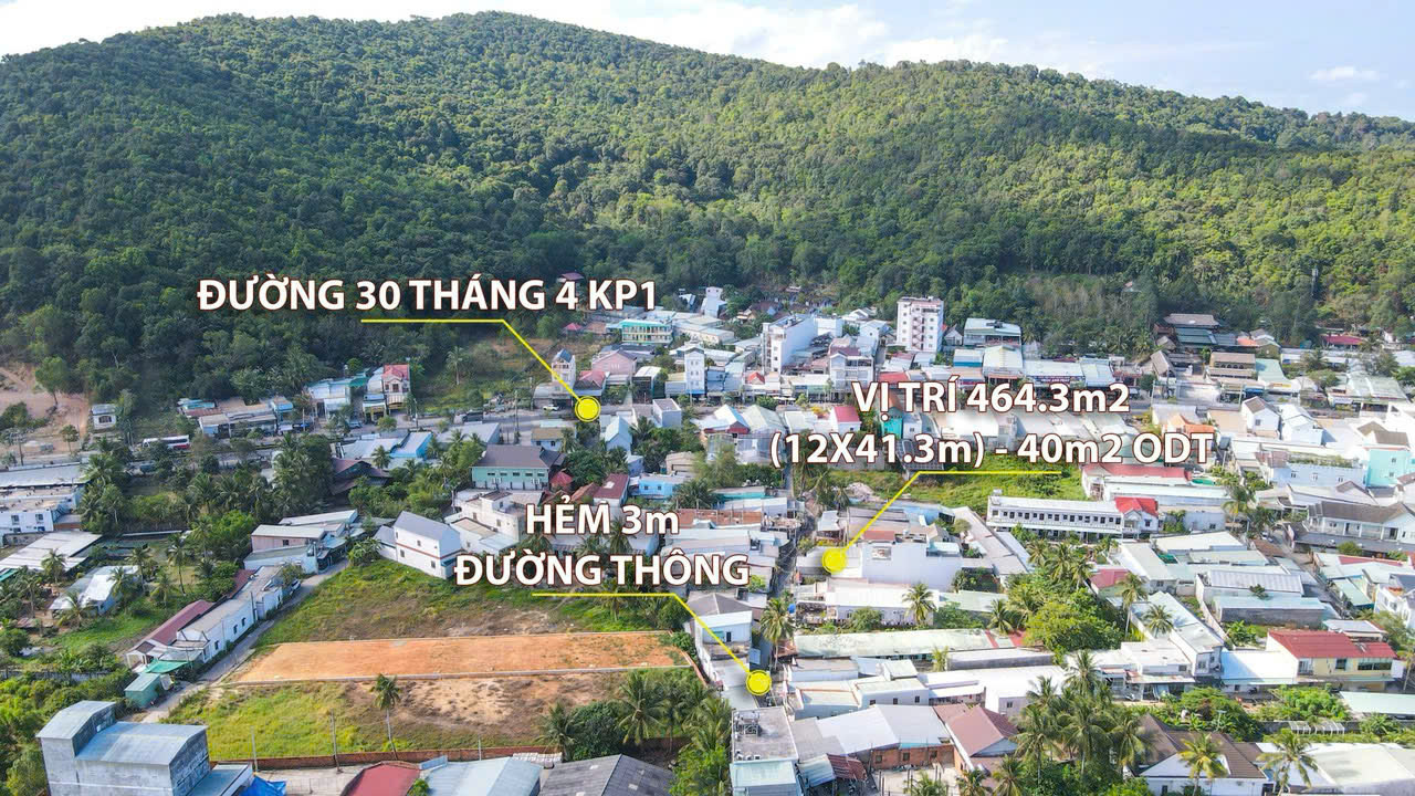 33c230b13463923dcb72