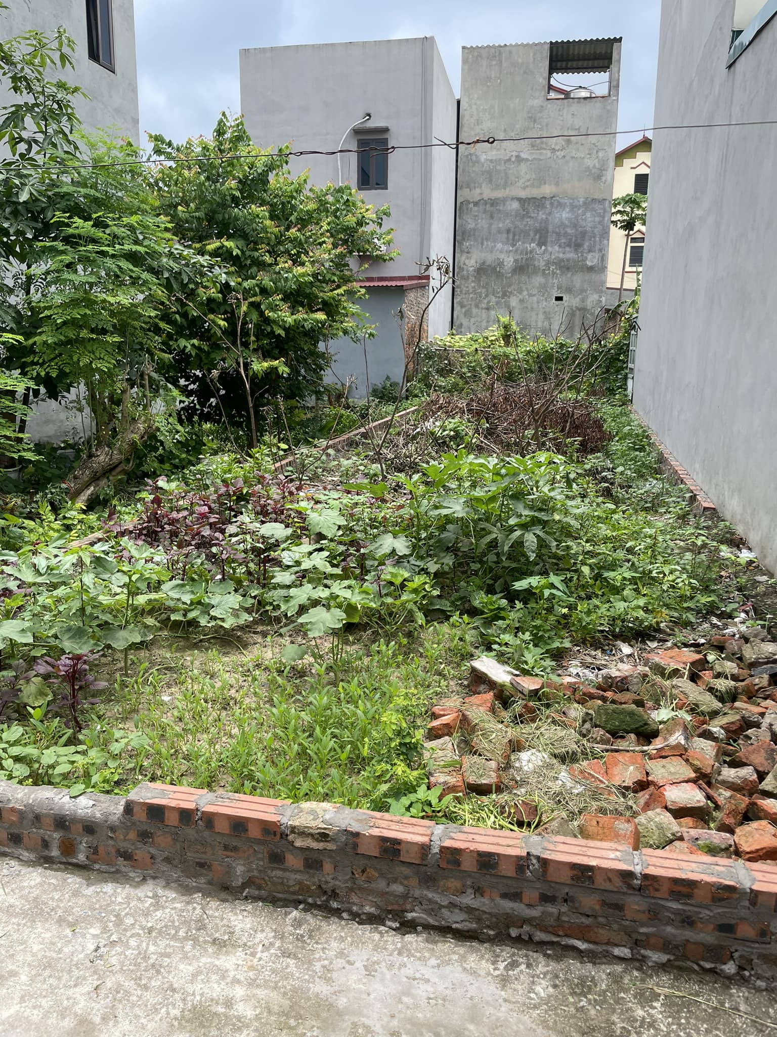 448903099_3634832306767070_5036813388490600074_n