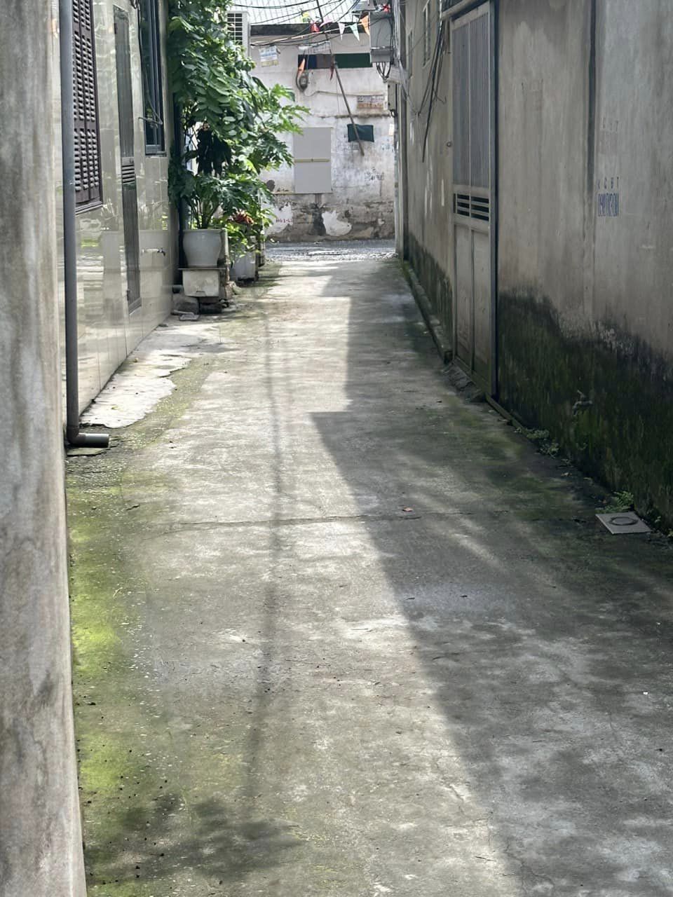 455211860_813309390992462_5589148481159554314_n