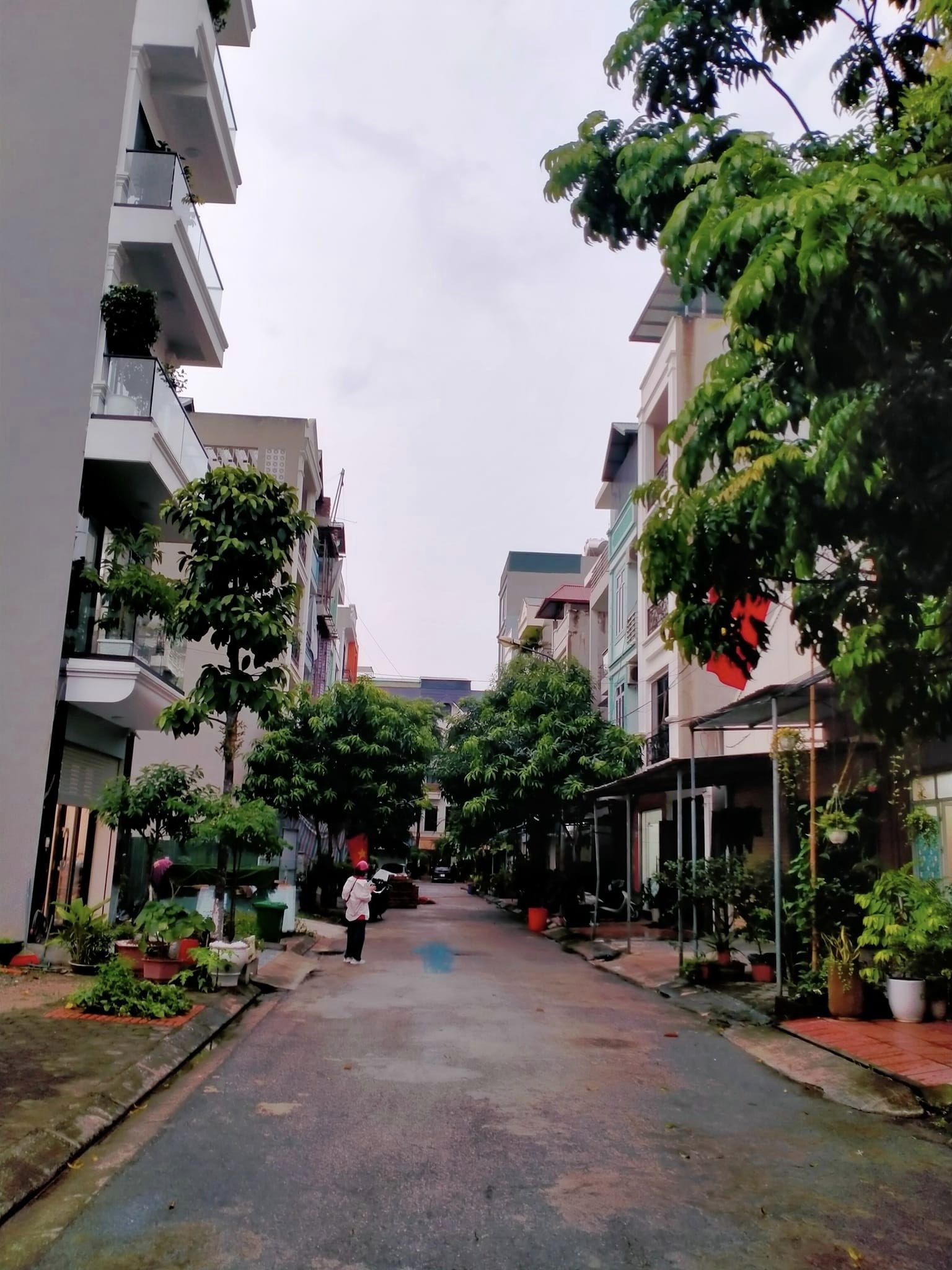 458754300_1549503913113565_1295400124763599230_n