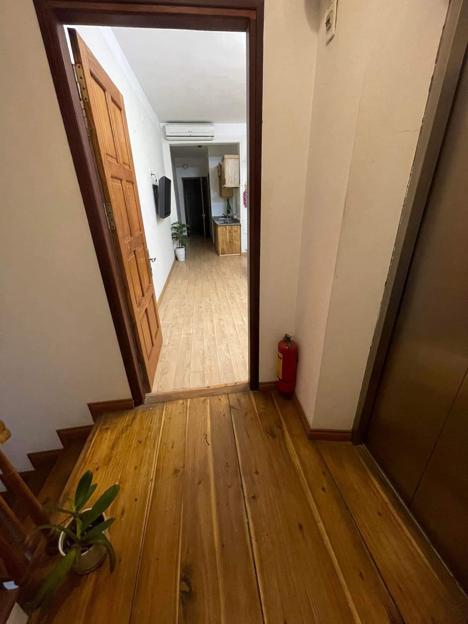 459394818_8625711030772759_7838859373269278373_n