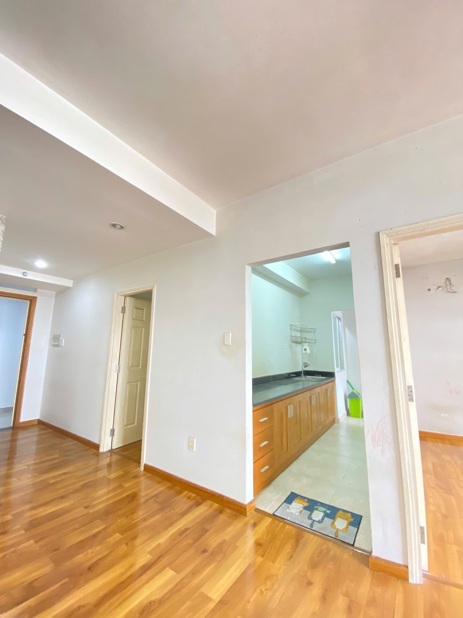 459801776_2479051402294663_1654583130684677331_n