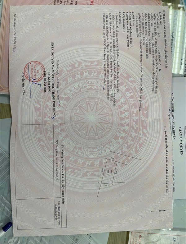 459880592_2853131724835500_6246845068559394638_n