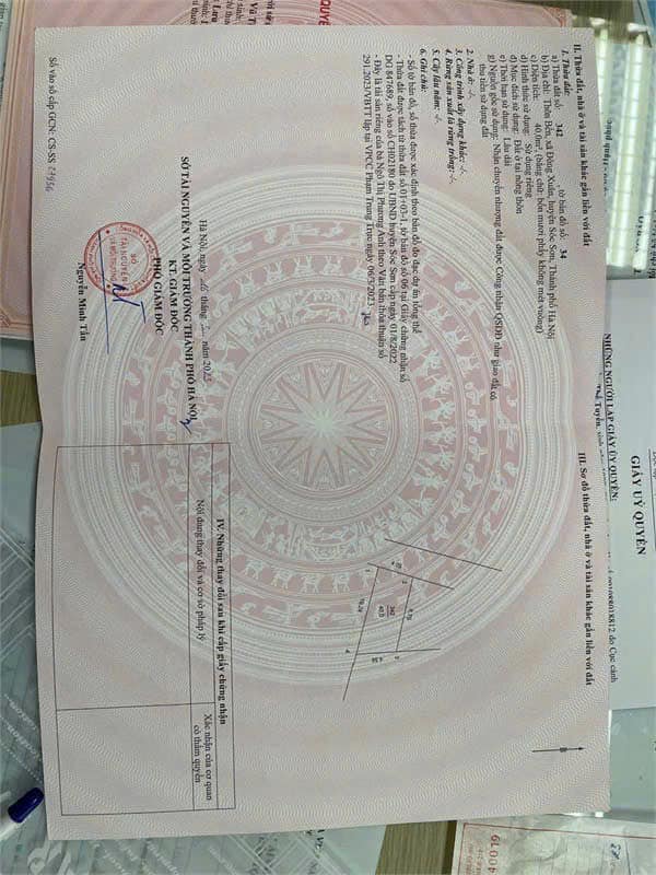 459880592_2853131724835500_6246845068559394638_n