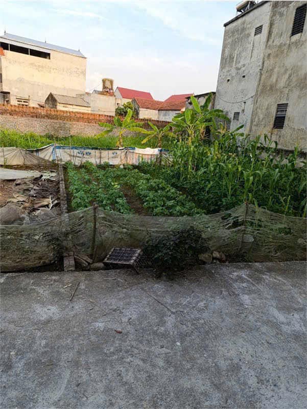 460075720_2853128571502482_2927378745311306584_n