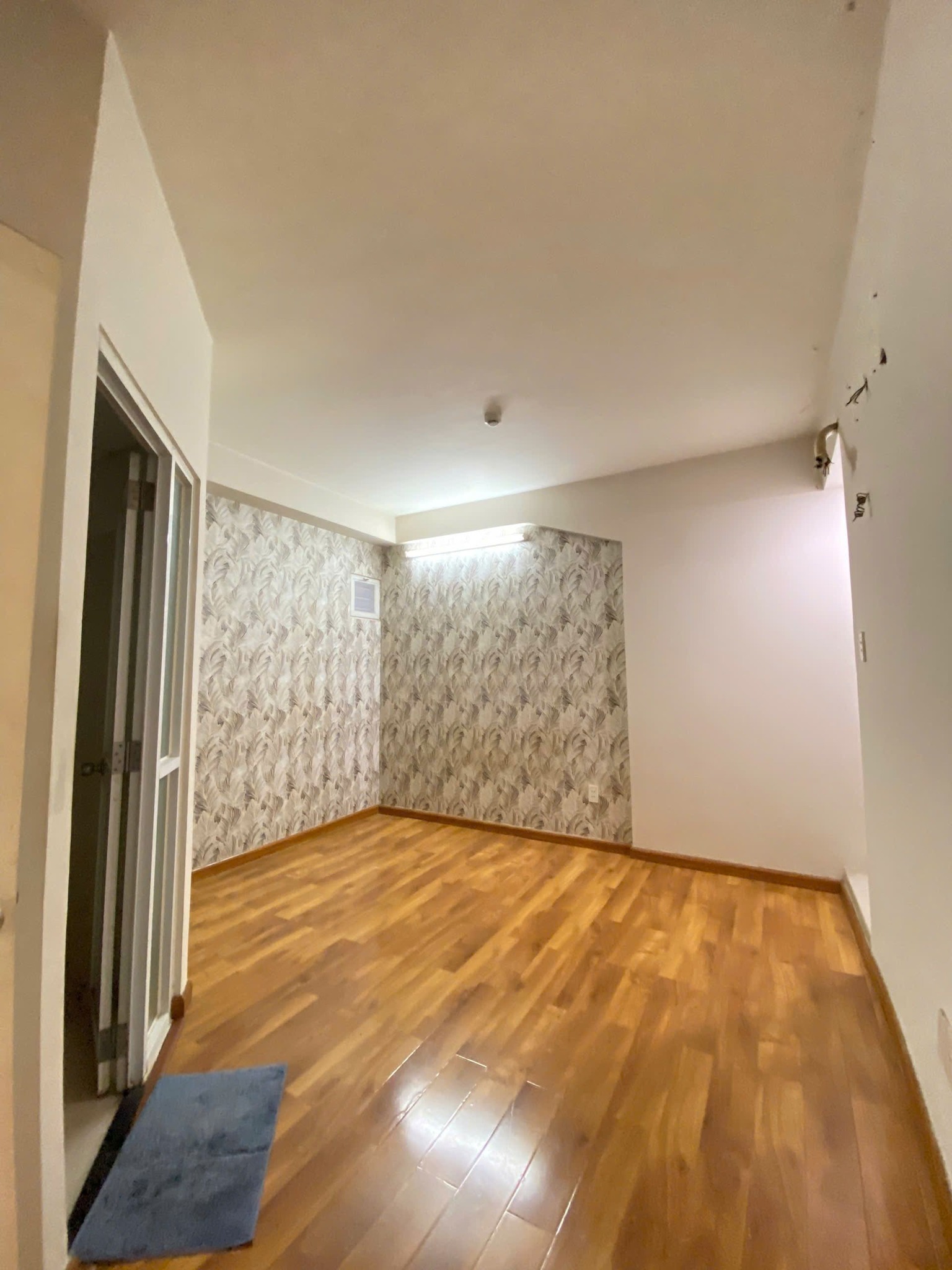 460298168_2479051955627941_5667326343349280099_n