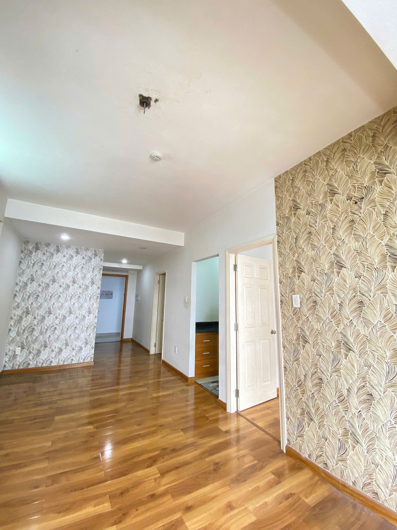 460728950_2479051288961341_3031084231377640531_n