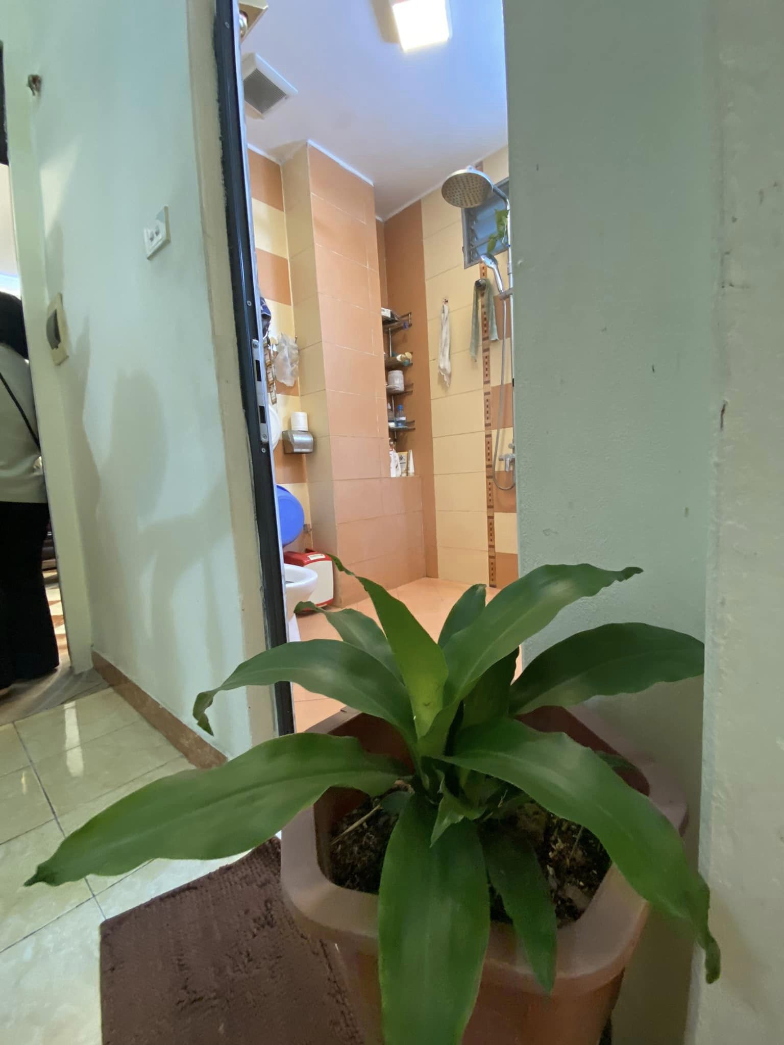 460961894_2833578353464408_7412066208149419555_n