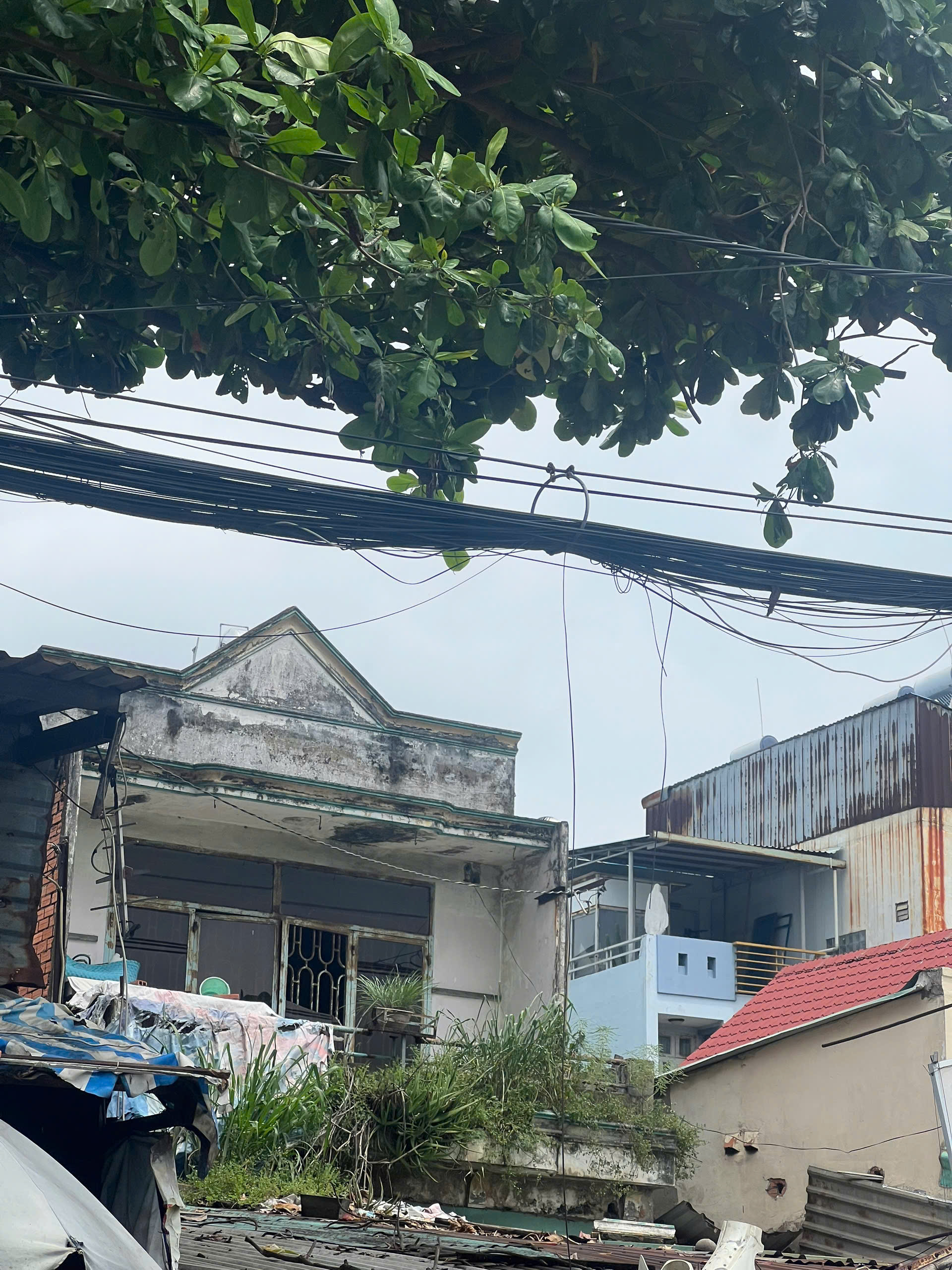 599b4f50267c8022d96d18