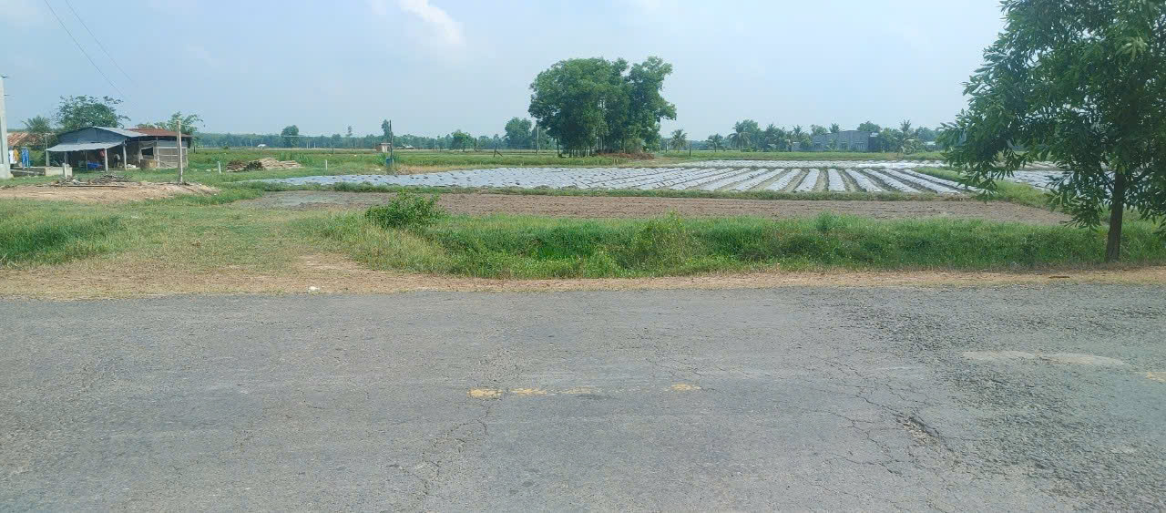 5e07b0af26e980b7d9f8