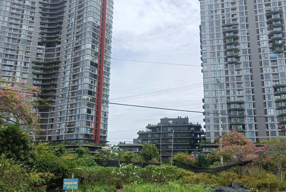 70m dau gia phung cong3