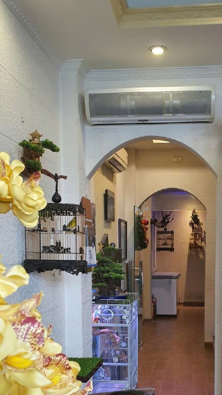 80e618ea2010874ede0118