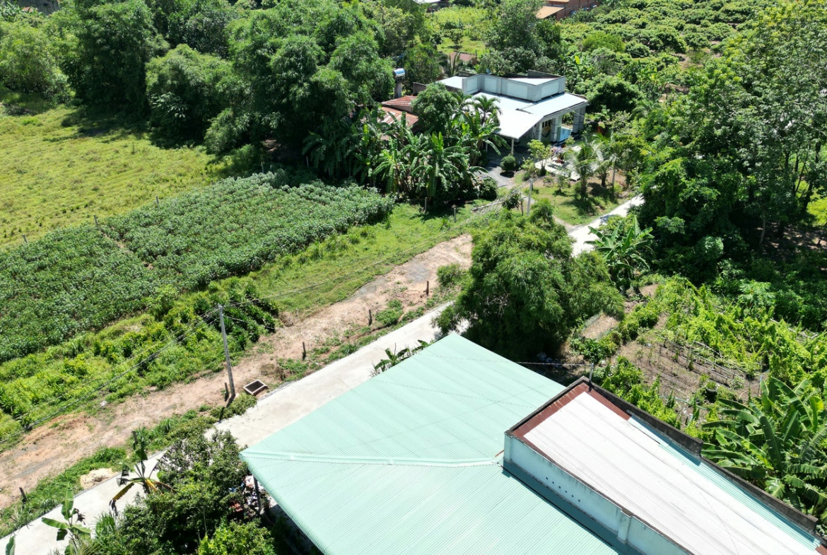 DJI_0126